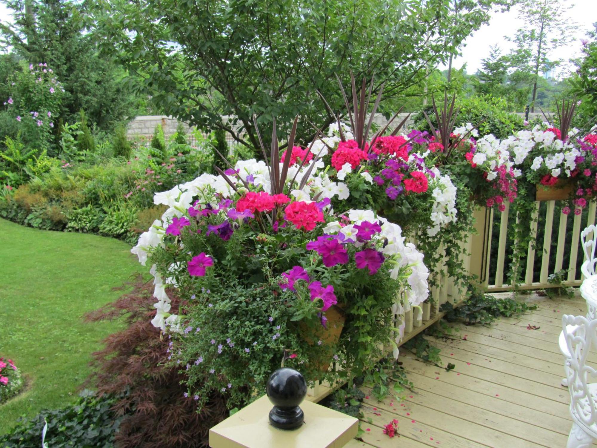 Bedham Hall B&B Niagara Falls Extérieur photo