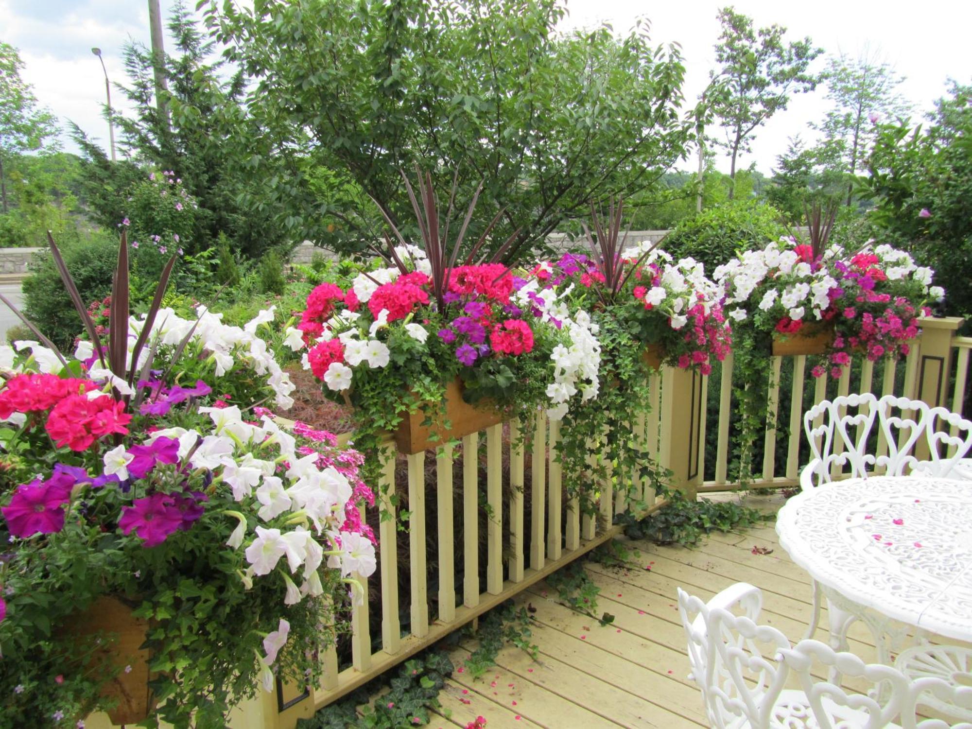 Bedham Hall B&B Niagara Falls Extérieur photo